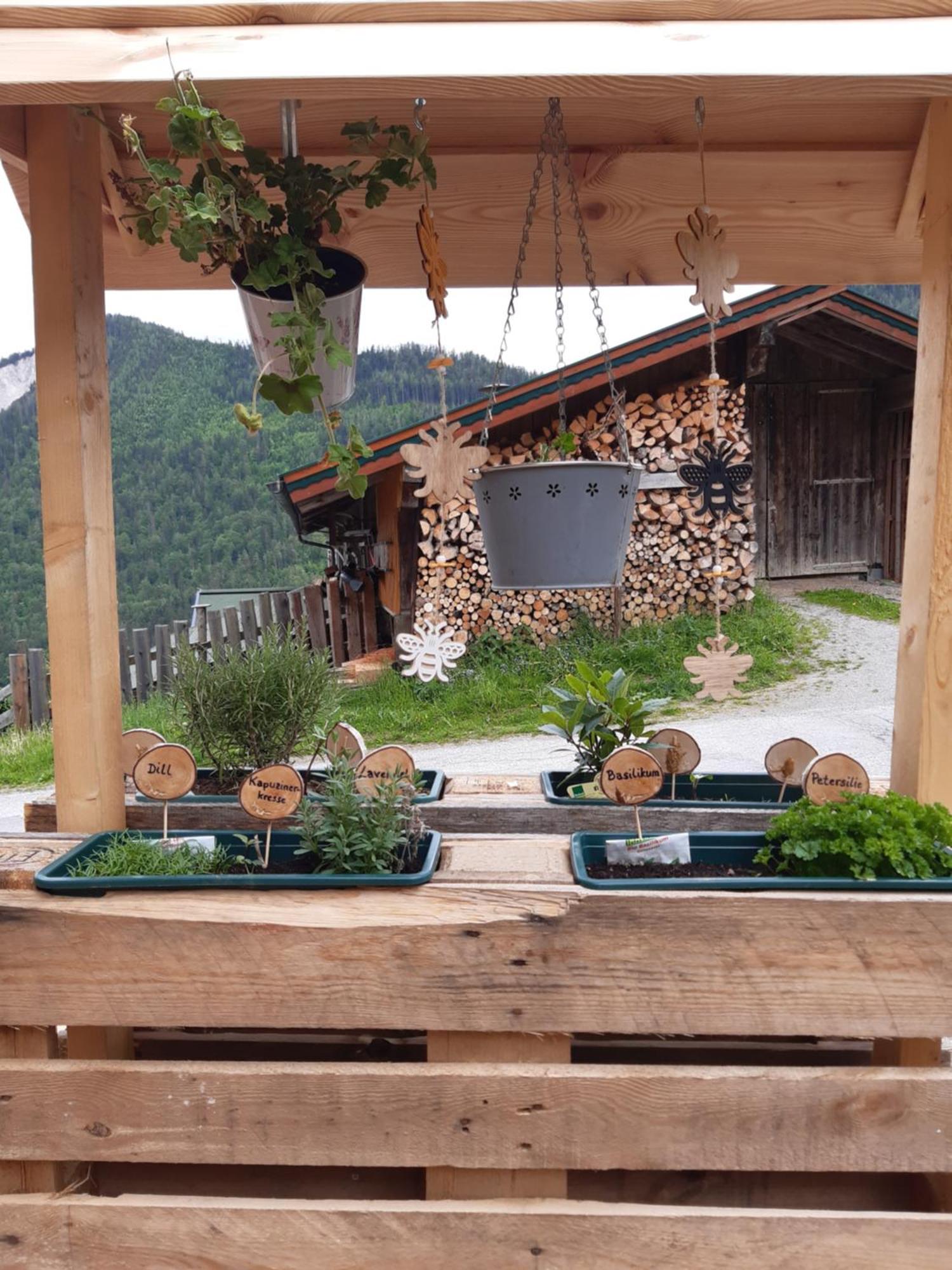 Ferienhaus Lechnerhof シュラートミンク エクステリア 写真