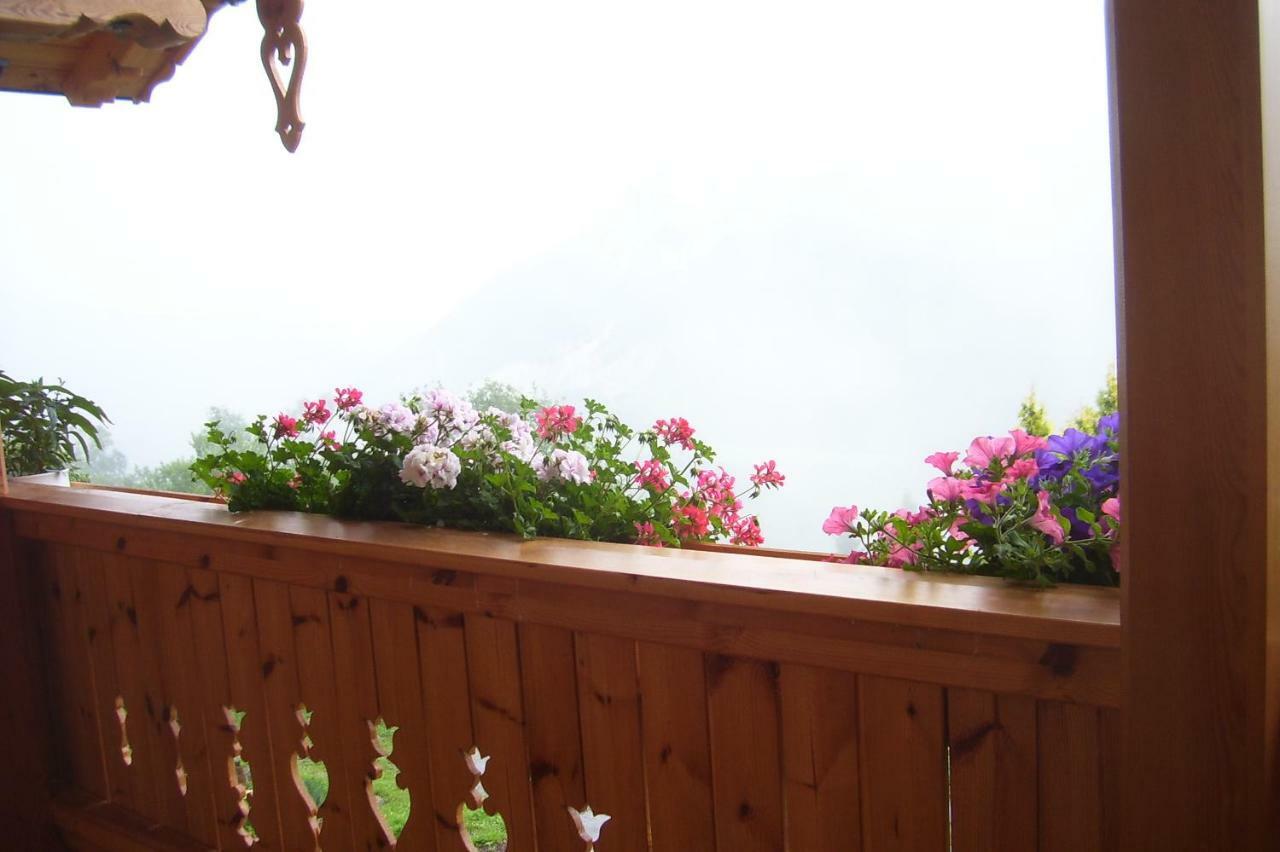 Ferienhaus Lechnerhof シュラートミンク エクステリア 写真